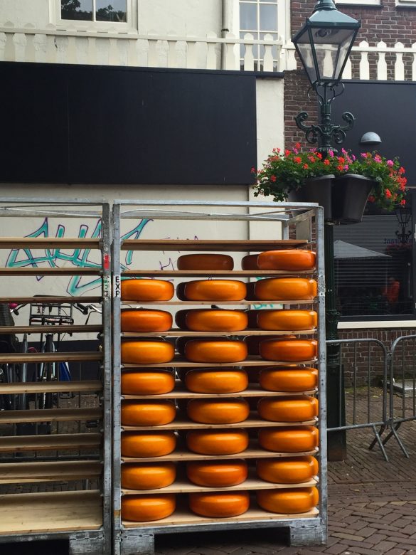 Käseragel mit Käselaiben auf dem Käsemarkt in Alkmaar