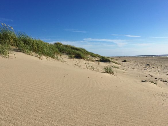 Strand und Dünen auf Texel