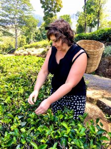 Ich beim Beim Teepflücken auf Sri Lanka