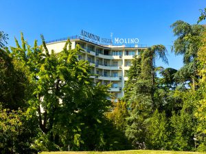 Hotel Ariston Molino