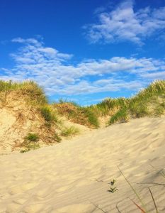 Strand und Dünen auf Texel