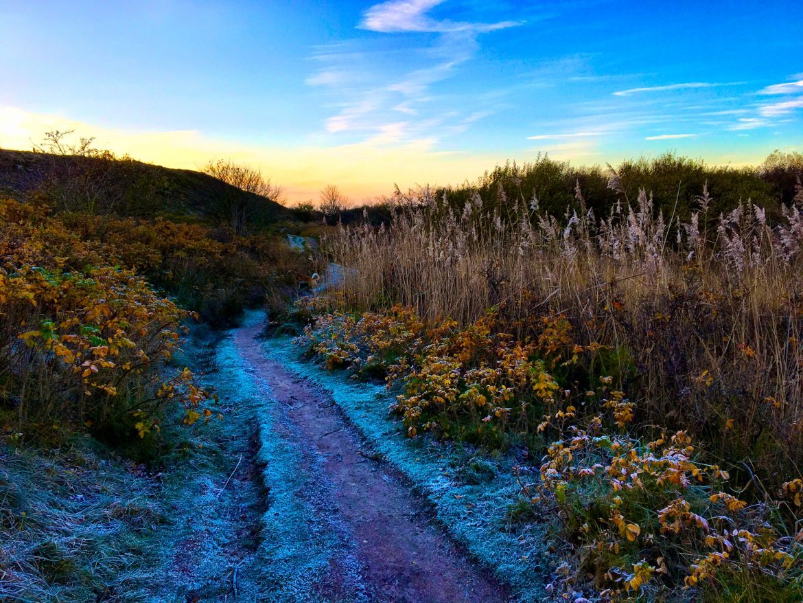 Wanderweg am Morsumer Kliff auf Sylt