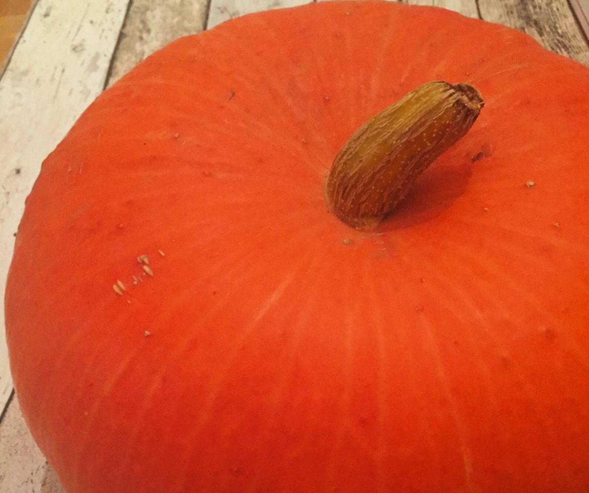 Kürbissorte Roter Zehntner